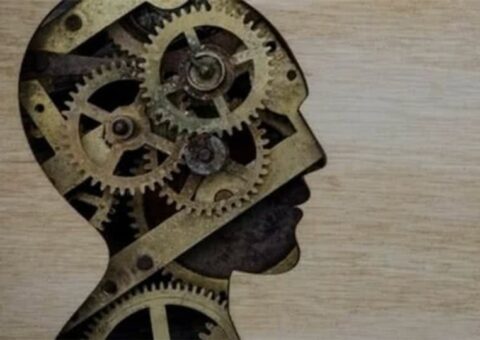 what-is-congnitive-health-image