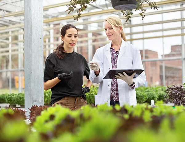 The source to patient philosophy image