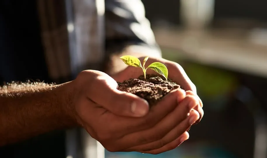 Natural Healthcare Products: Every step counts